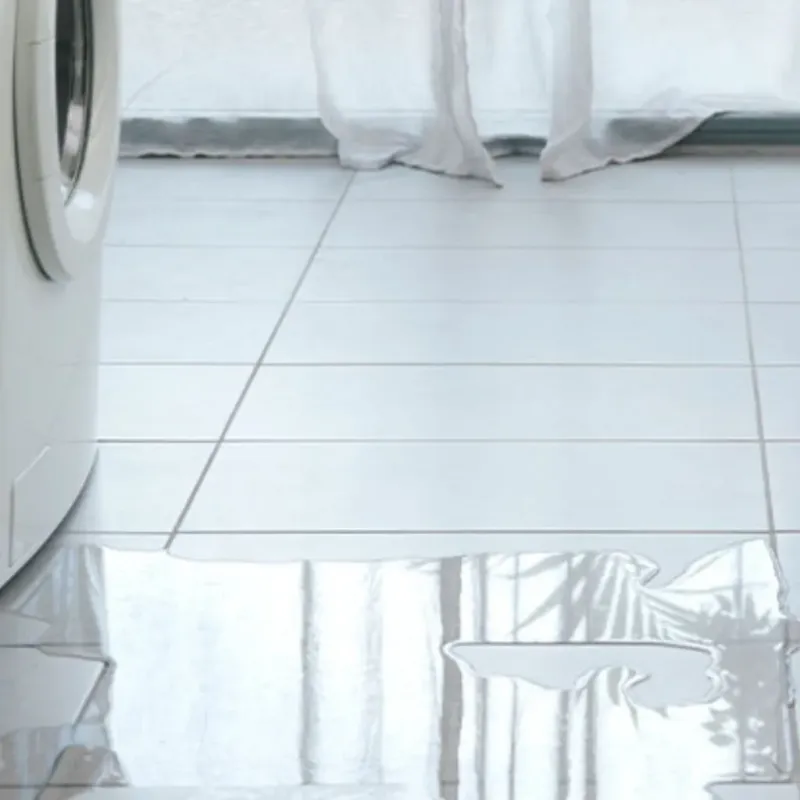 Appliance Leak Cleanup in Queen City, TX