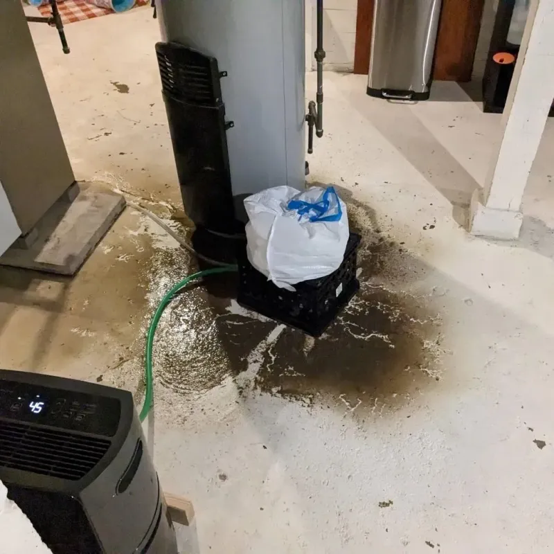 Sewage Backup Cleanup Service in Queen City, TX
